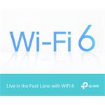 TP-Link Archer Air R5, (rozbalené)