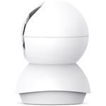 TP-Link Tapo C250