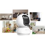 TP-Link Tapo C250