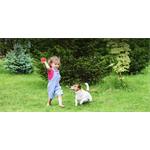 TP-Link Tapo C425 KIT, (rozbalené)