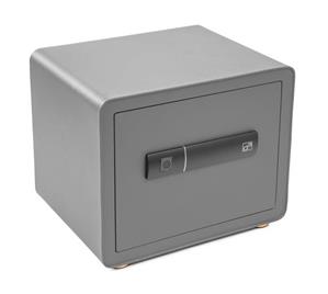 Trezor G21 na odtlačok prsta 380 x 310 x 300 mm