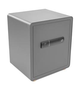 Trezor G21 na odtlačok prsta 400 x 450 x 350 mm