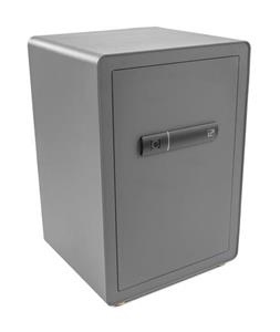 Trezor G21 na odtlačok prsta 420 x 600 x 380 mm