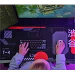 Trust podložka pod klávesnicu a myš GXT759 XXL, Japan Black