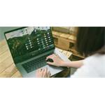 WD Green SN350, 250 GB