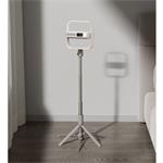 XGIMI Light Gold Portable Stand