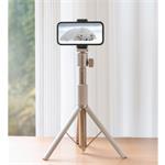 XGIMI Light Gold Portable Stand