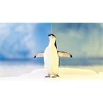 Xiaomi 2K Monitor A27Qi 2026