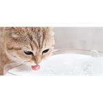 Xiaomi Smart Pet Fountain EU, inteligentná fontána na pitie