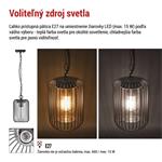 Zahradné závesné svietidlo SALVIA, 16 x 16 x 32 cm, 1 x E27, 15 W