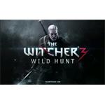 Zaklínač 3: Divoký Hon (The Witcher 3: Wild Hunt) (PC)